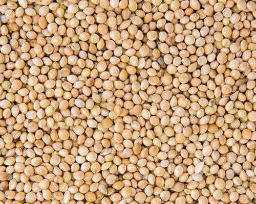 Raw millet grain